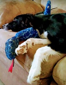 Baby cuddling her favorite toy, Snakey