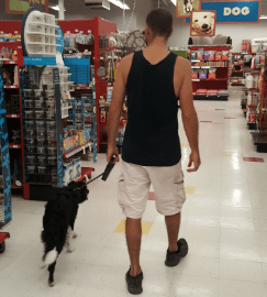 Baby shopping for new treats and toys