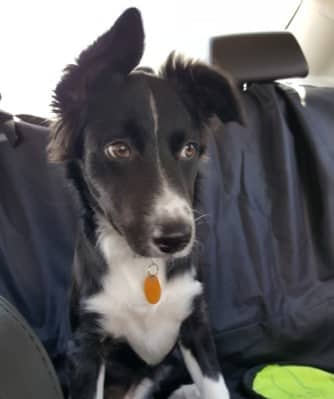 Baby riding in the backseat