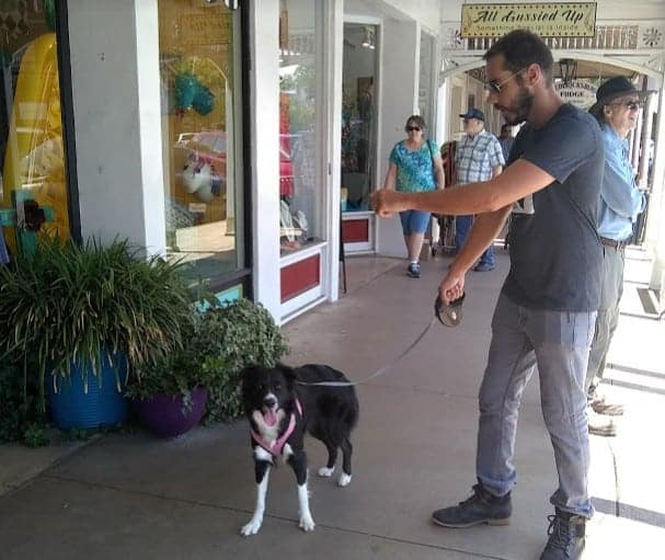 Baby on the streets in Fredricksburg, Texas