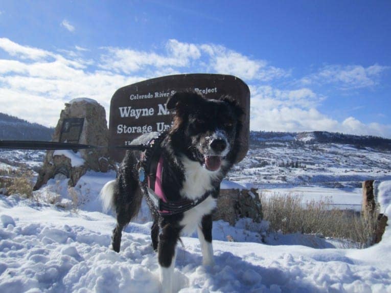 Baby in the Colorado snow